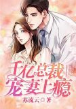 千亿总裁宠妻上瘾